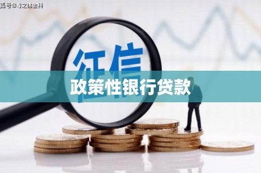 中卫政策性银行贷款