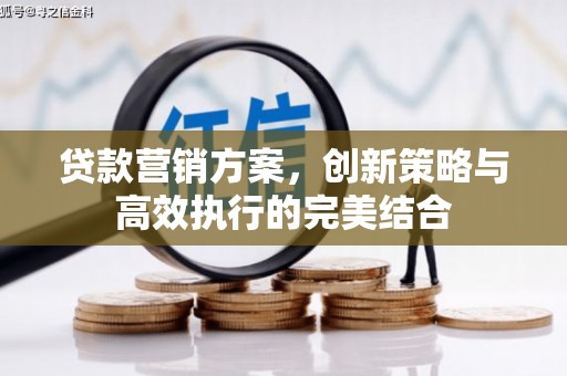 中卫贷款营销方案，创新策略与高效执行的完美结合