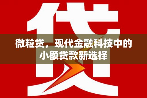 中卫微粒贷，现代金融科技中的小额贷款新选择