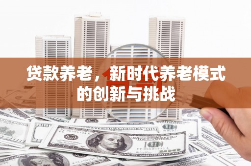 中卫贷款养老，新时代养老模式的创新与挑战