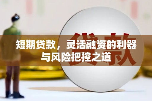 中卫短期贷款，灵活融资的利器与风险把控之道