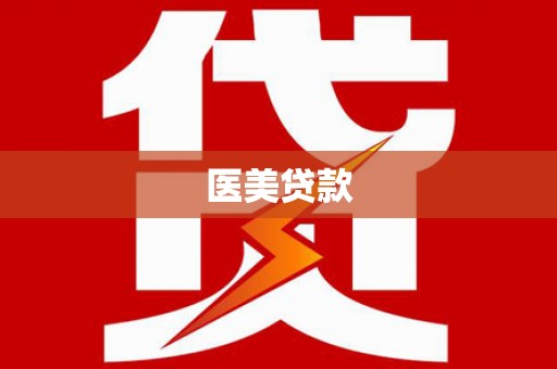 中卫医美贷款