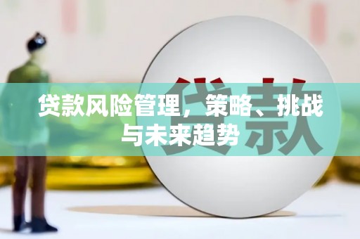 中卫贷款风险管理，策略、挑战与未来趋势