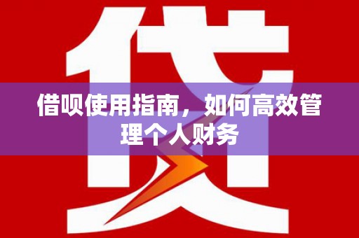 中卫借呗使用指南，如何高效管理个人财务