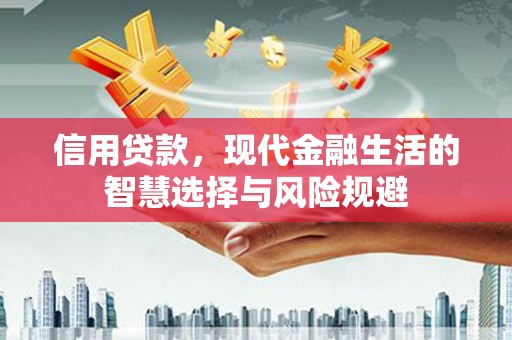 中卫信用贷款，现代金融生活的智慧选择与风险规避