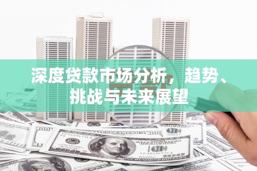 中卫深度贷款市场分析，趋势、挑战与未来展望