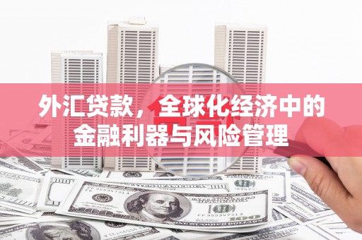 中卫外汇贷款，全球化经济中的金融利器与风险管理