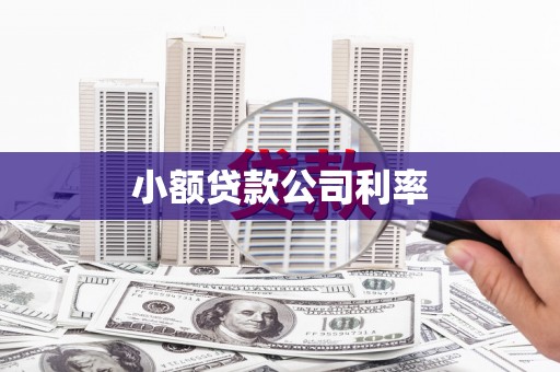中卫小额贷款公司利率