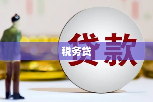 中卫税务贷