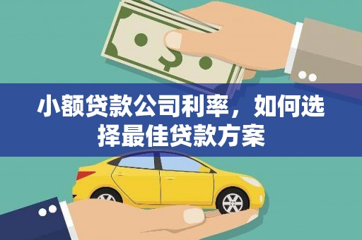 中卫小额贷款公司利率，如何选择最佳贷款方案