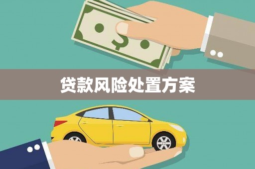 中卫贷款风险处置方案