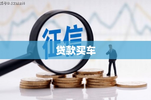 中卫贷款买车