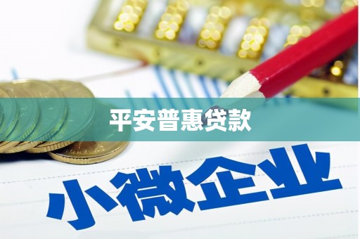 中卫平安普惠贷款