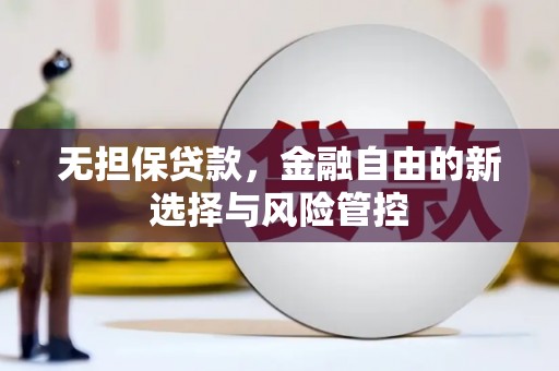 中卫无担保贷款，金融自由的新选择与风险管控