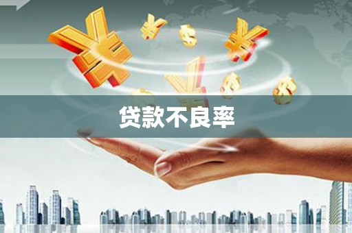 中卫贷款不良率