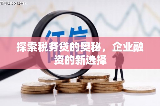 中卫探索税务贷的奥秘，企业融资的新选择