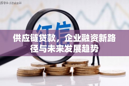 中卫供应链贷款，企业融资新路径与未来发展趋势