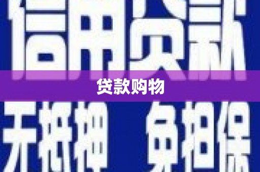中卫贷款购物