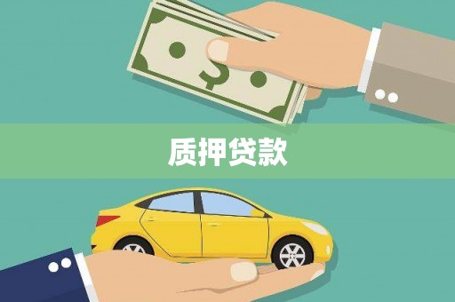 中卫质押贷款