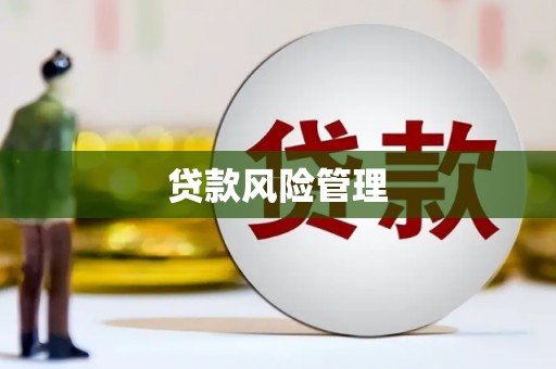 中卫贷款风险管理