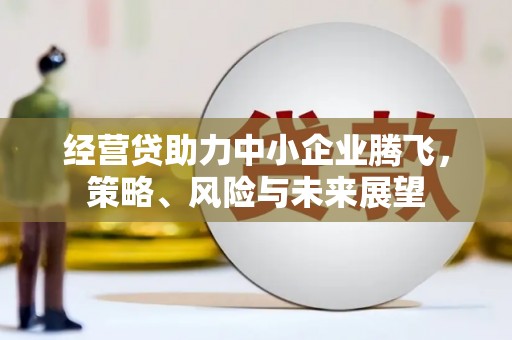 中卫经营贷助力中小企业腾飞，策略、风险与未来展望