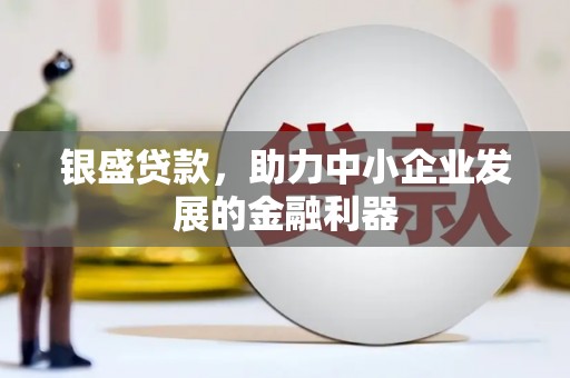 中卫银盛贷款，助力中小企业发展的金融利器
