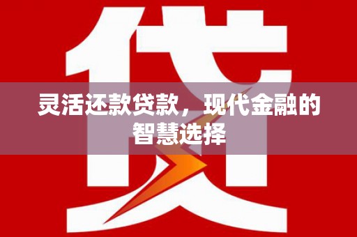 中卫灵活还款贷款，现代金融的智慧选择