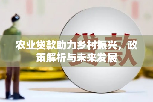 中卫农业贷款助力乡村振兴，政策解析与未来发展