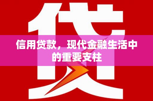 中卫信用贷款，现代金融生活中的重要支柱