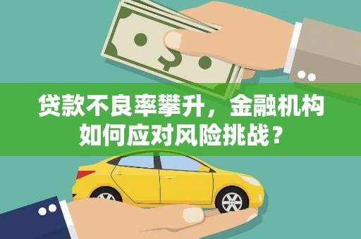 中卫贷款不良率攀升，金融机构如何应对风险挑战？