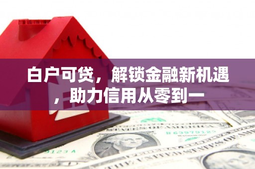 中卫白户可贷，解锁金融新机遇，助力信用从零到一