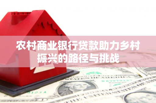 中卫农村商业银行贷款助力乡村振兴的路径与挑战