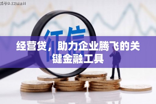 中卫经营贷，助力企业腾飞的关键金融工具