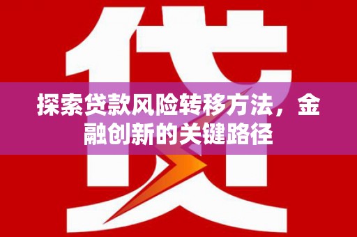 中卫探索贷款风险转移方法，金融创新的关键路径