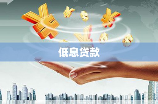 中卫低息贷款