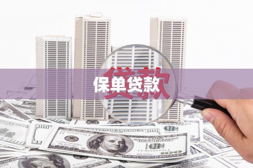 中卫保单贷款