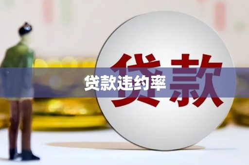中卫贷款违约率