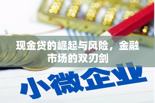 中卫现金贷的崛起与风险，金融市场的双刃剑