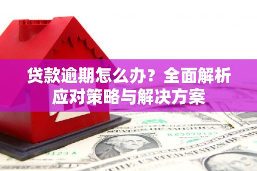 中卫贷款逾期怎么办？全面解析应对策略与解决方案
