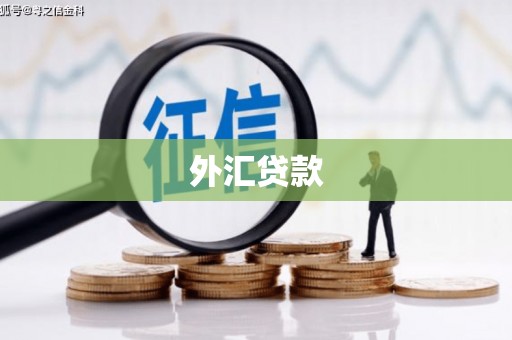 中卫外汇贷款
