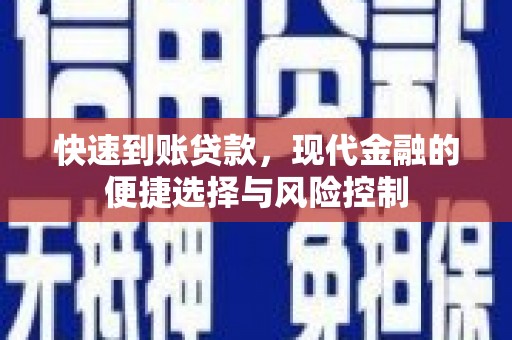 中卫快速到账贷款，现代金融的便捷选择与风险控制