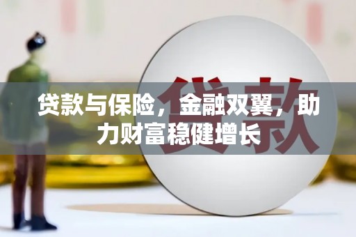 中卫贷款与保险，金融双翼，助力财富稳健增长