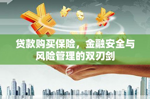 中卫贷款购买保险，金融安全与风险管理的双刃剑