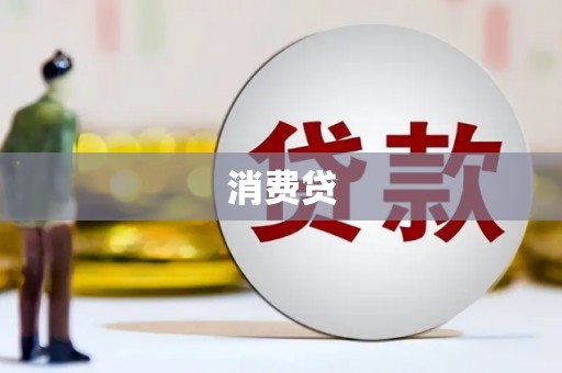 中卫消费贷
