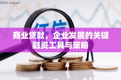 中卫商业贷款，企业发展的关键融资工具与策略