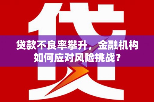中卫贷款不良率攀升，金融机构如何应对风险挑战？