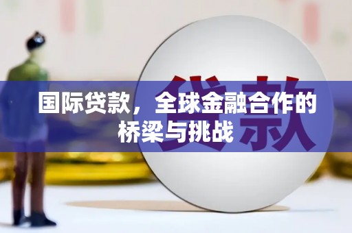 中卫国际贷款，全球金融合作的桥梁与挑战