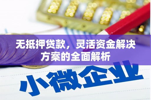 中卫无抵押贷款，灵活资金解决方案的全面解析