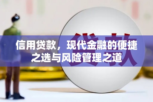 中卫信用贷款，现代金融的便捷之选与风险管理之道