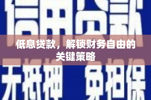 中卫低息贷款，解锁财务自由的关键策略